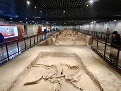 -洛阳周王城天子驾六博物馆