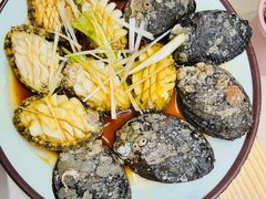 油泼鲍鱼-天伦海鲜·老味道·青岛菜(栈桥天主教堂店)