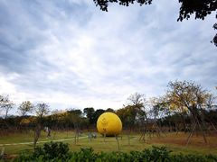 -顺峰山公园