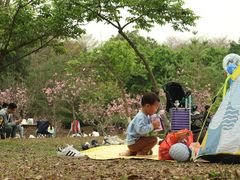 -聚龙山公园
