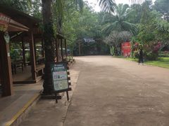 -海南热带野生动植物园