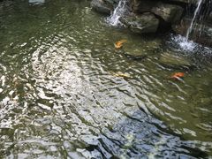 -汤山翠谷生态餐厅