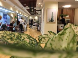 -涩谷· Hair Salon
