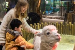 -宝燕乐园(闵行旗舰店)