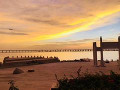 -宝安西湾红树林湿地公园