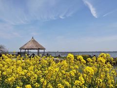 -渔娘蟹庄(阳澄湖莲花岛店)