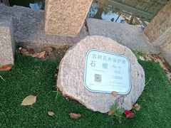 -安亭老街