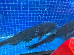 -川流不息·地道川菜·小龙虾(松东路店)