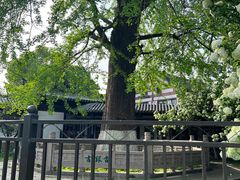 -常熟方塔园