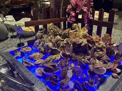 -青岛银沙滩温德姆至尊酒店