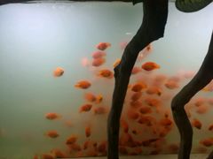 -绍兴梦享海洋公园