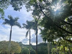 -深圳仙湖植物园