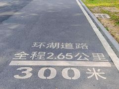 -海珠湖公园
