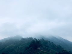 -西湖风景区十里琅珰-五云山