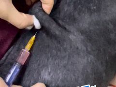 -瑞鹏宠物医院·微创内窥镜·骨外科·牙科(翠竹分院)