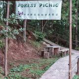 主城小众遛娃农场&松林烧烤&露营⛺️&捉鸡磨豆浆喂兔子🐰