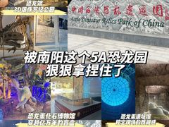 -中国西峡恐龙遗迹园