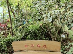 -呀路古热带植物园