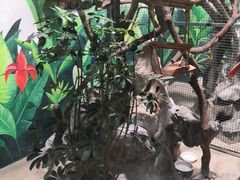 -上海大自然野生昆虫馆(东方明珠·爬宠昆虫探索中心)