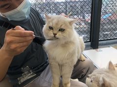 -怪兽屋·羊驼·猫咖·狗咖(俊华广场店)