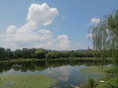 -北坞公园