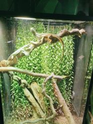 -酷嗒动物文化乐园(cutezoo西溪乐天城店)