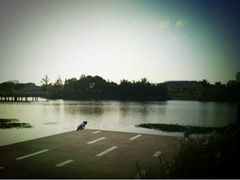 -新江湾城公园