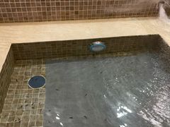 -中家鑫园温泉酒店鑫悦汤泉