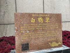 -白鹤梁水下博物馆