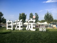 -白洋淀景区