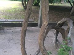 -同济大学(沪西校区)