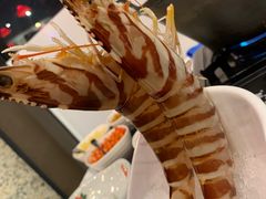 -鲜入围煮花胶鸡海鲜火锅