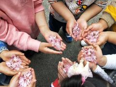 -上海浦东新区民办小白鸽幼儿园