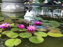 -国家植物园南园