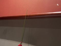 -觀芷隐轩
