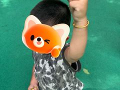 -苏州河梦清园环保主题公园