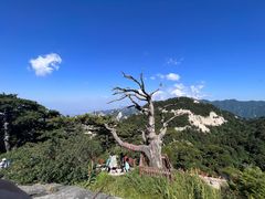 -华山风景名胜区