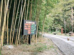 -黄公望隐居地