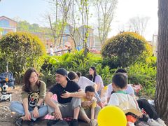 -铁山坪森林公园