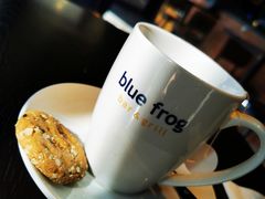 -bluefrog蓝蛙(恒隆广场店)