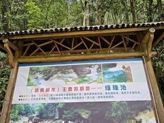 -黄山翡翠谷景区
