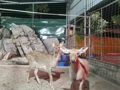 -八景休閒山莊  廣東十大名山莊