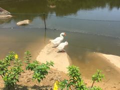 -厦门悦华酒店