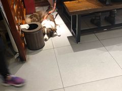 -金杨拉面王(杨南路店)