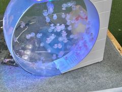 -西安电影制片厂