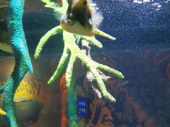 -沈阳海洋探索中心