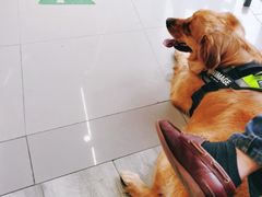 -爱侣宠医·鹦鹉专科·小型哺乳类·异宠专科(灵石路店)