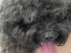 -宠物星动物医院·眼科·异宠·猫科(江南大道总院)