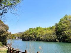 -白马涧龙池景区