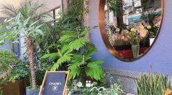 -花隐·美芙炫海菲秀皮肤管理中心